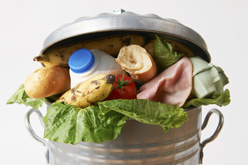 how-to-feed-the-world-four-ways-to-reduce-food-waste-robyn-o-brien