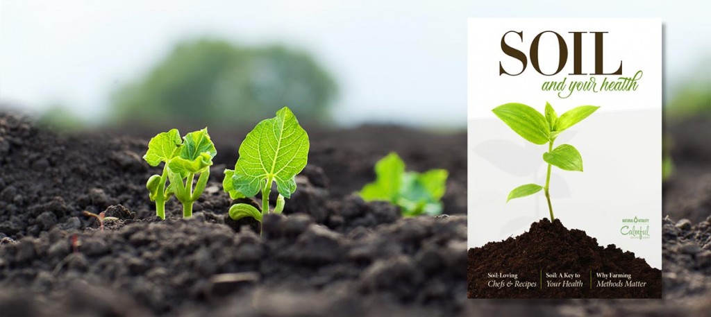 Natural Vitality Soil eBook