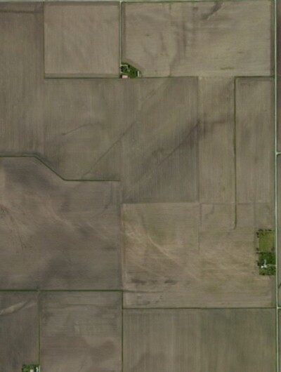 the effects of GMOs: dead fields