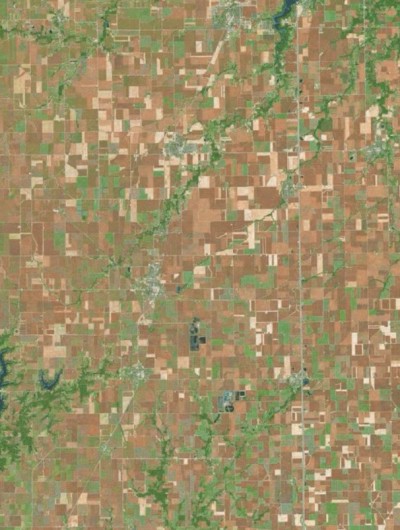 the effects of GMOs: dead fields