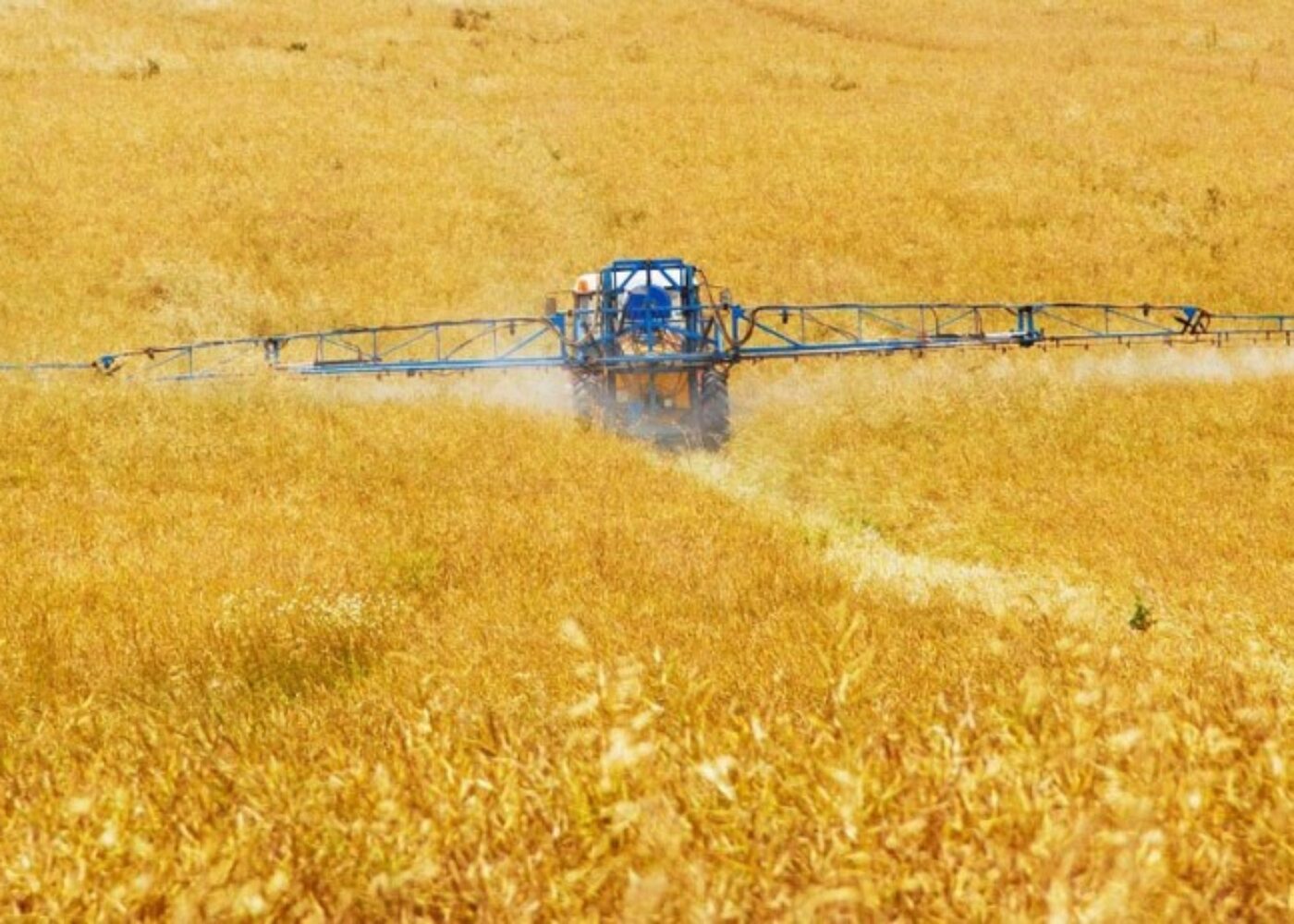 glyphosate crop spraying