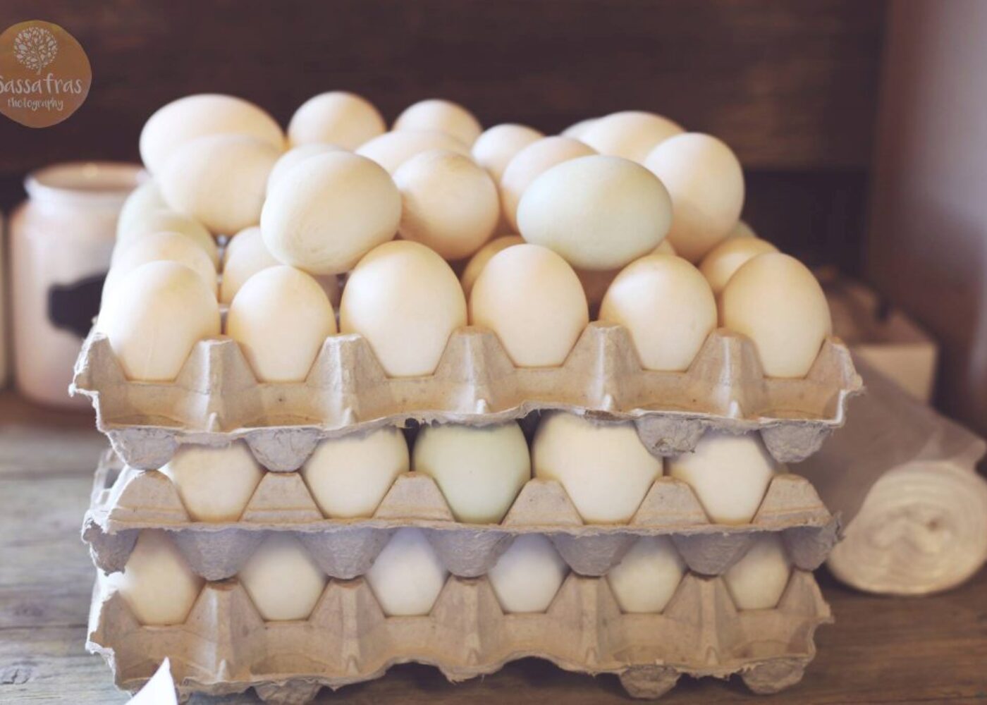 eggs and food allergies