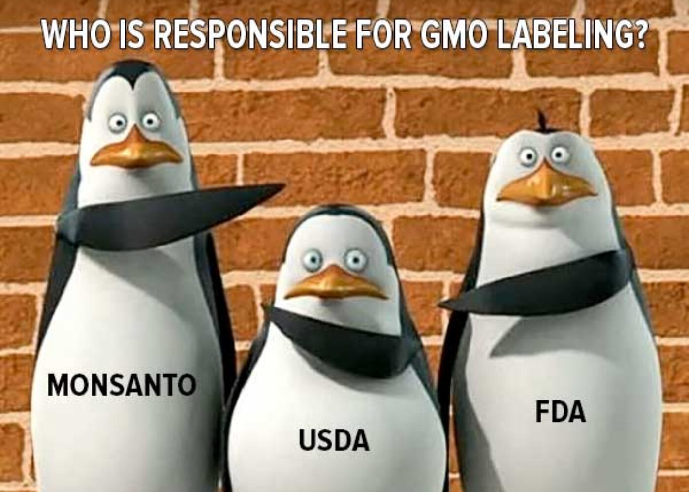GMO labeling confusion