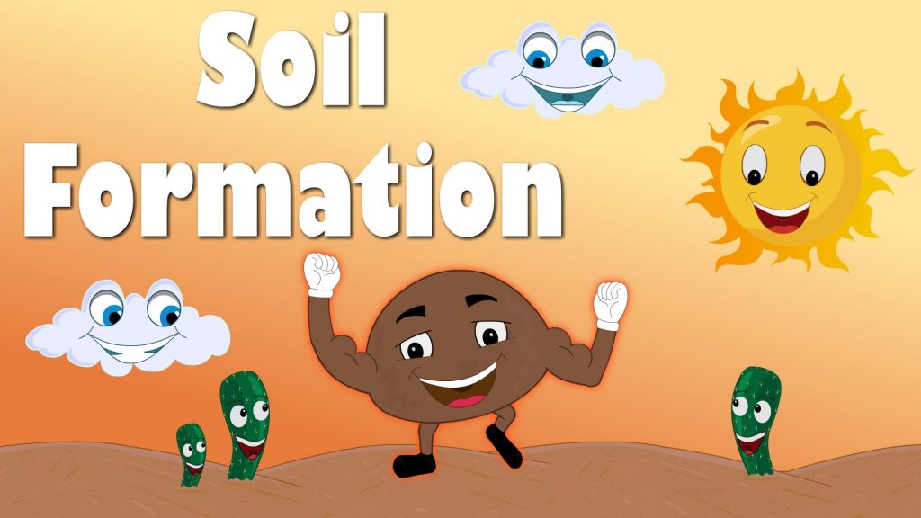 fruits and vegetables and soil nutrition