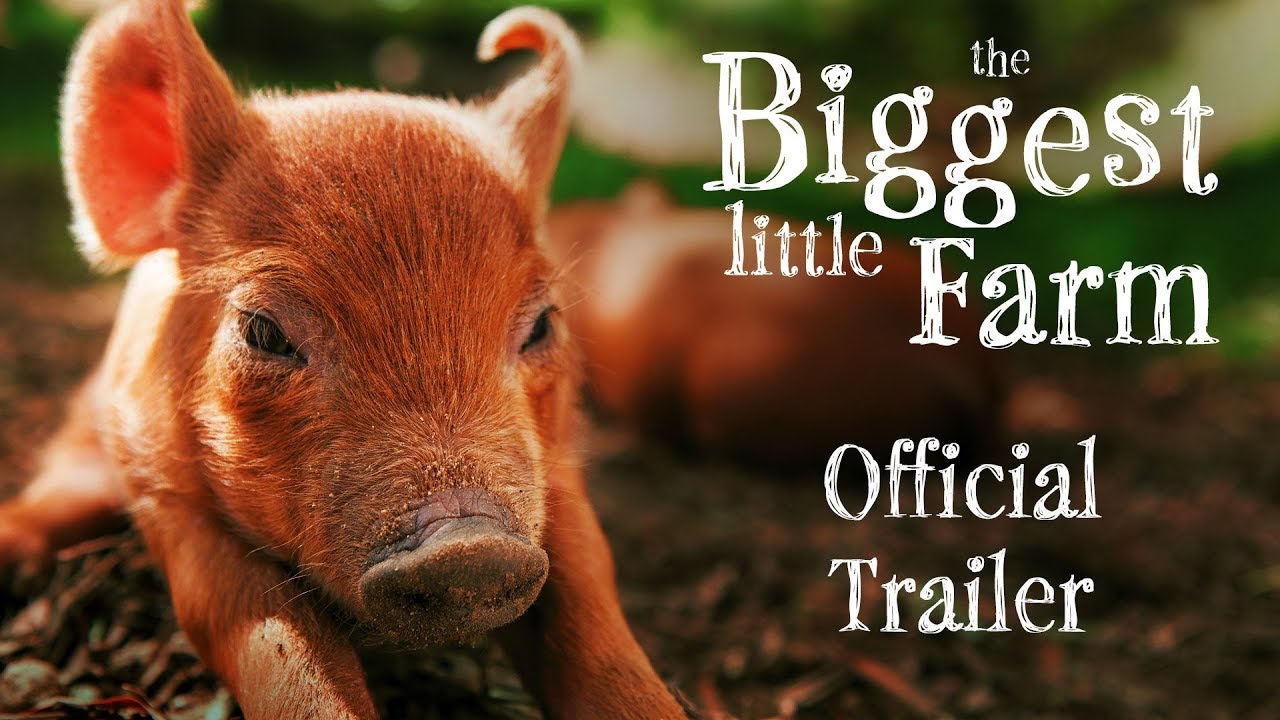 Inspiring New Film The Biggest Little Farm Robyn O Brien