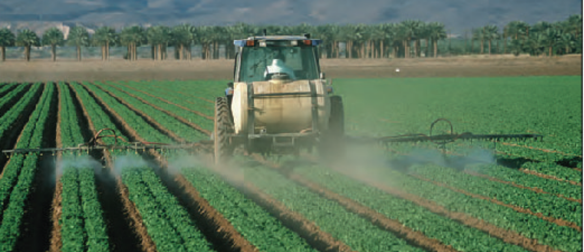 The USA Lags Behind the Rest of the World in Banning Harmful Pesticides