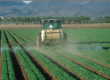 The USA Lags Behind the Rest of the World in Banning Harmful Pesticides